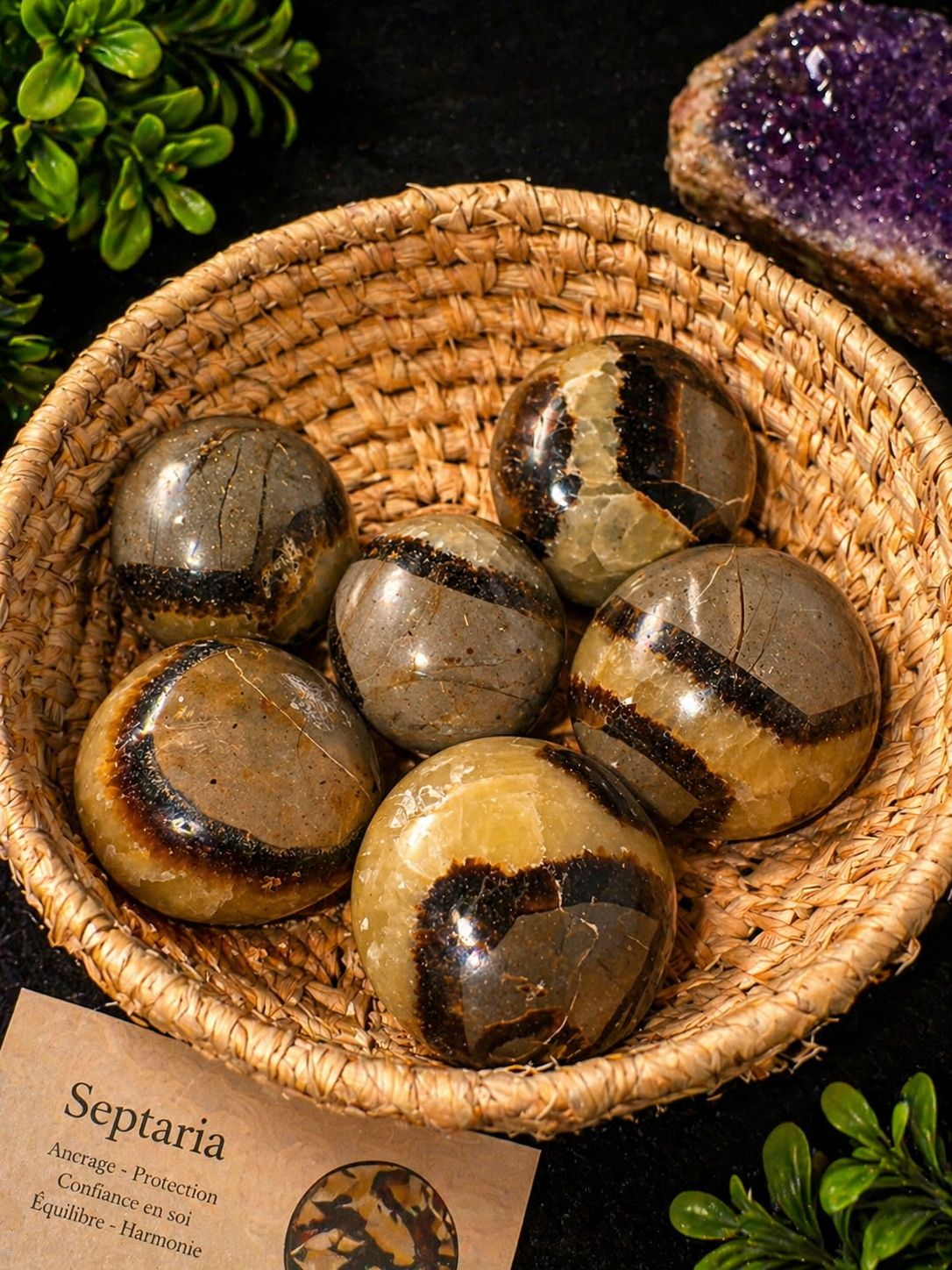 Septaria AA – Pierre Naturelle Madagascar Énergie & Ancrage