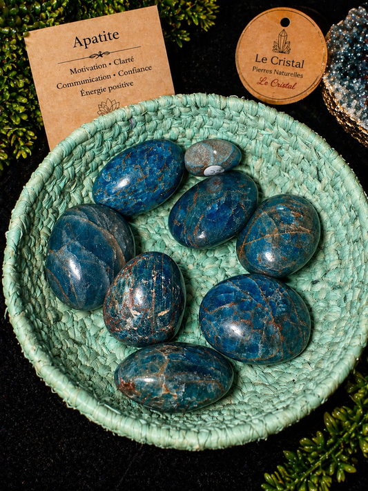 Apatite AA – Pierre Naturelle Motivation & Clarté (Madagascar)