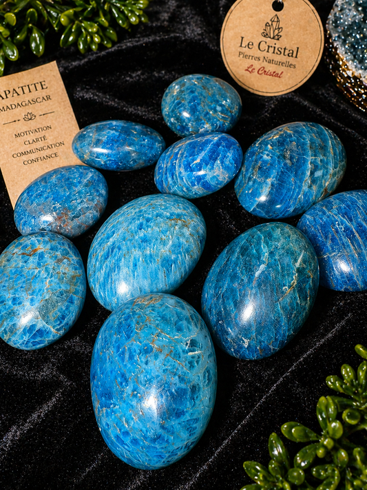 💙 Galet d’Apatite AA – Motivation & Clarté (Madagascar)