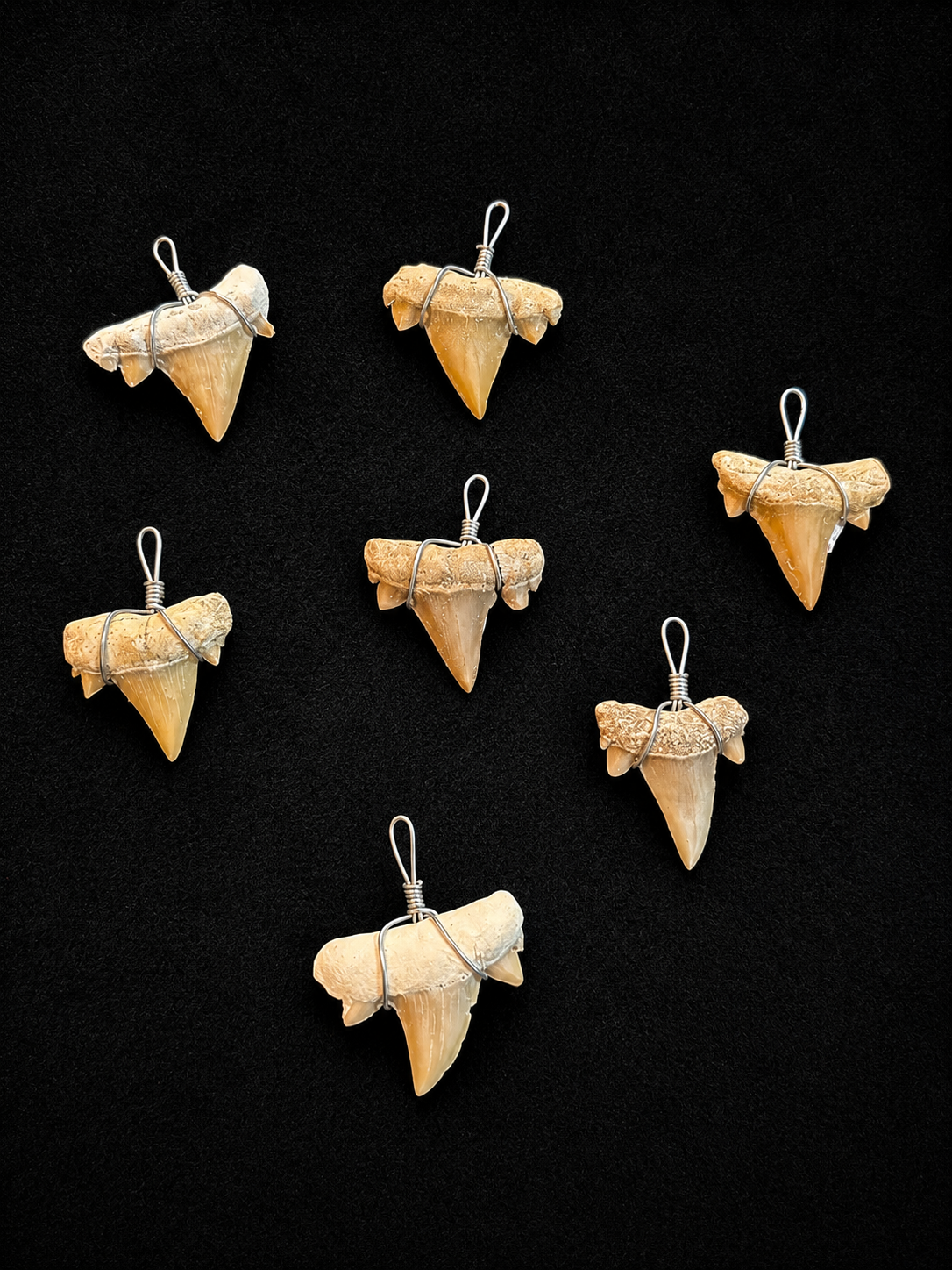 Pendentif Dent de Requin Fossile – Monture Fil Argenté – Bijou Naturel Fait Main ( 1 pièce )