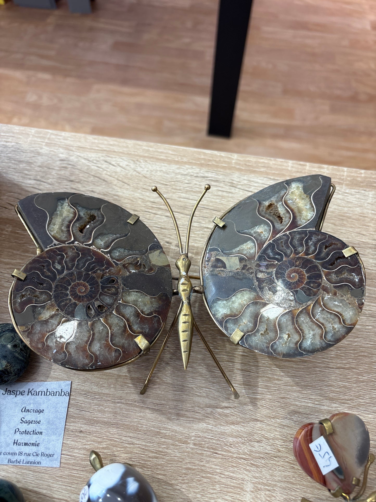 Papillon en Ammonite de Madagascar – Pièce Artisanale Unique