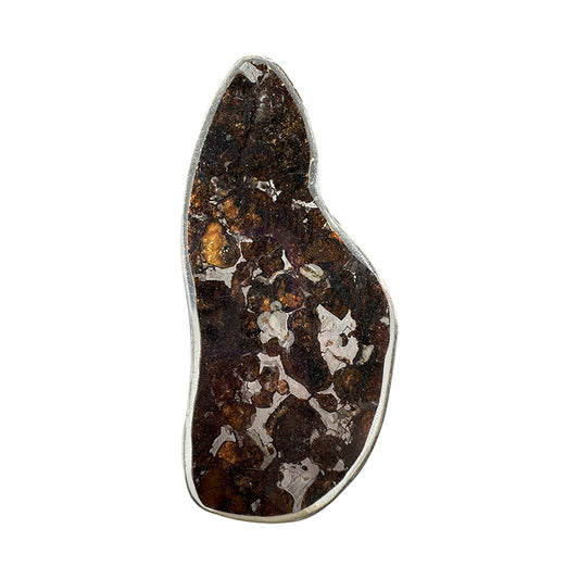 Plaque de Météorite Pallasite Sericho – Pièce Unique (Kenya)